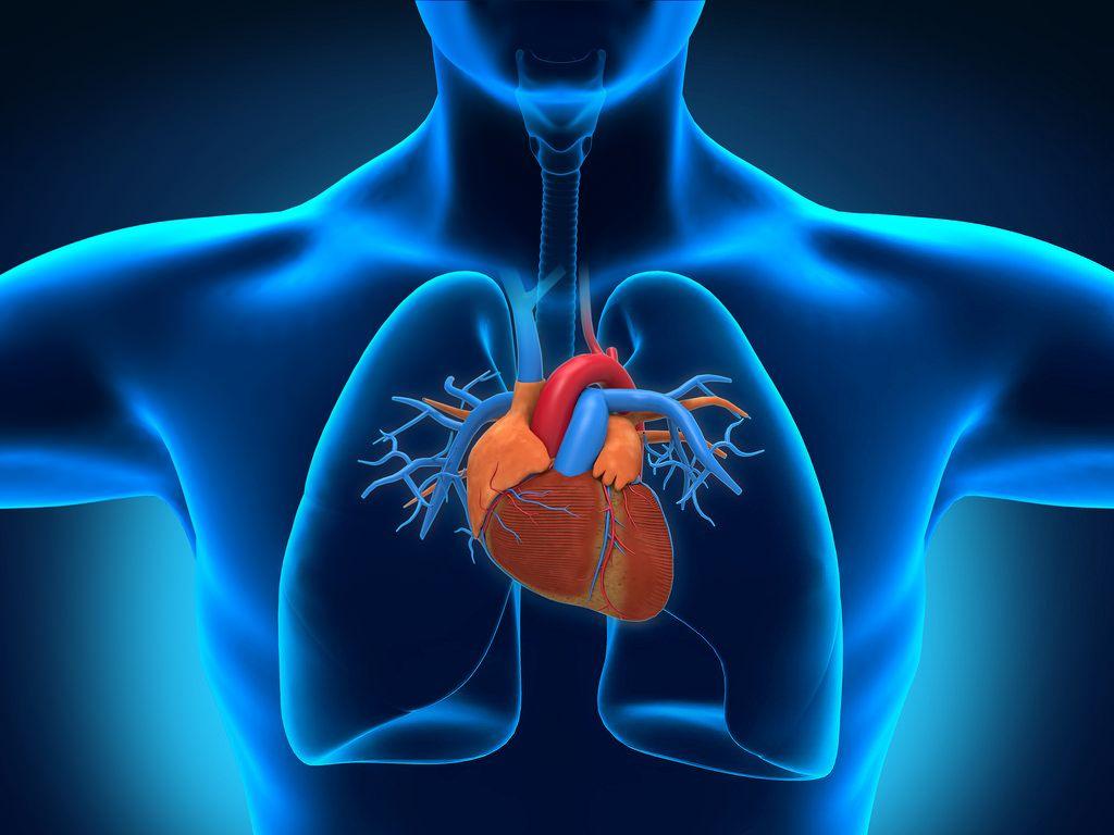 تصویر آنژیوگرافی قلب